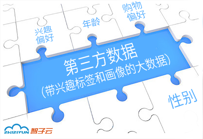 大数据中的第三方数据 3 带兴趣标签和画像的大数据 智子云 Ai为核心的云计算公司